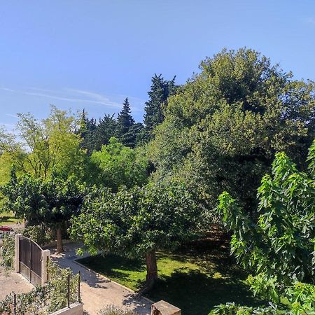 Mas Provencal Au Coeur Des Vergers Vallabrègues Kültér fotó