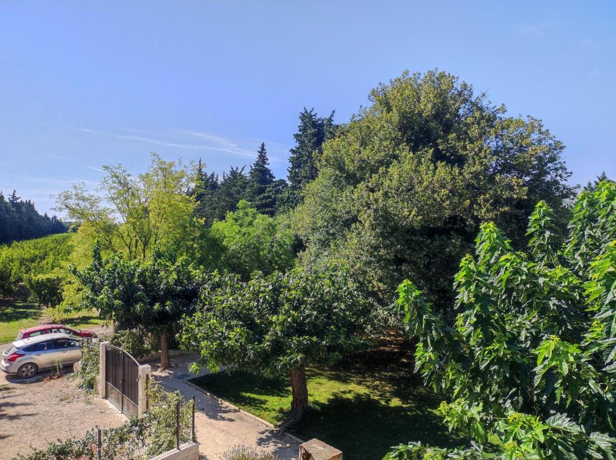 Mas Provencal Au Coeur Des Vergers Vallabrègues Kültér fotó