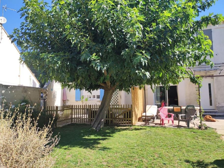 Mas Provencal Au Coeur Des Vergers Vallabrègues Kültér fotó